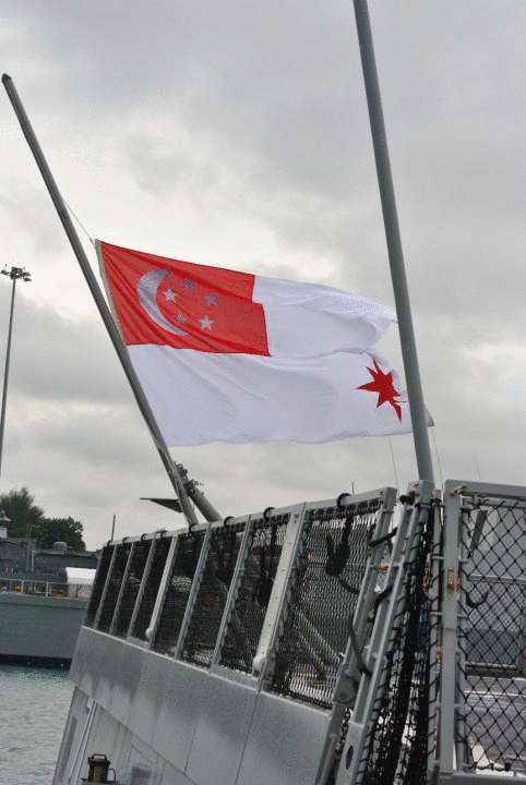 SGFlag