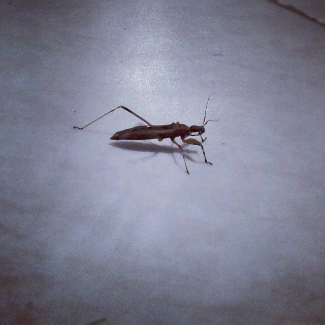 6th floor and I've this visiting... Why like that..