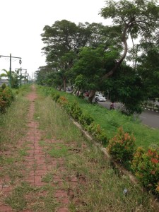 path_beside_road
