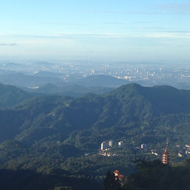 pagoda in the midst..