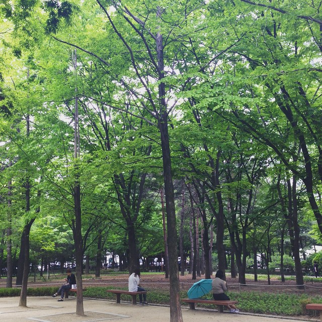 'em anti-social-ing in the super-zen park. lunch hour now.