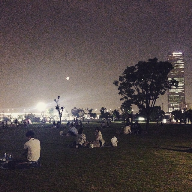 今天是设么大日子？#Seoul #Hangang #Park