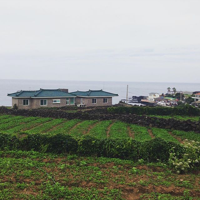 approaching Handam Beach #Jeju