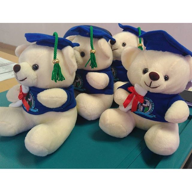 Graduation bears in a row. So cute.