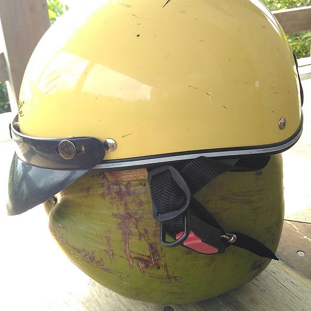 new trend, use a coconut to hold a "helmet"