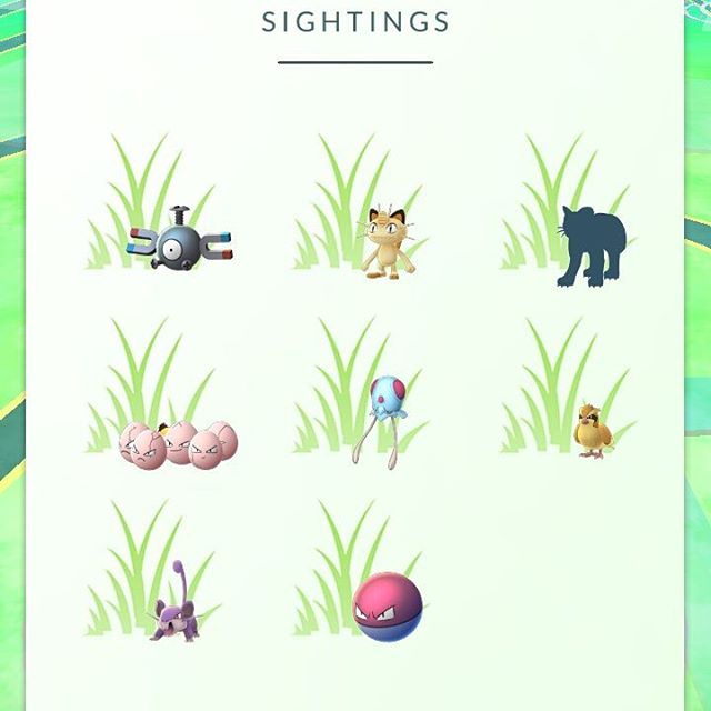 What in the heavens is that leopard like Pokemon???