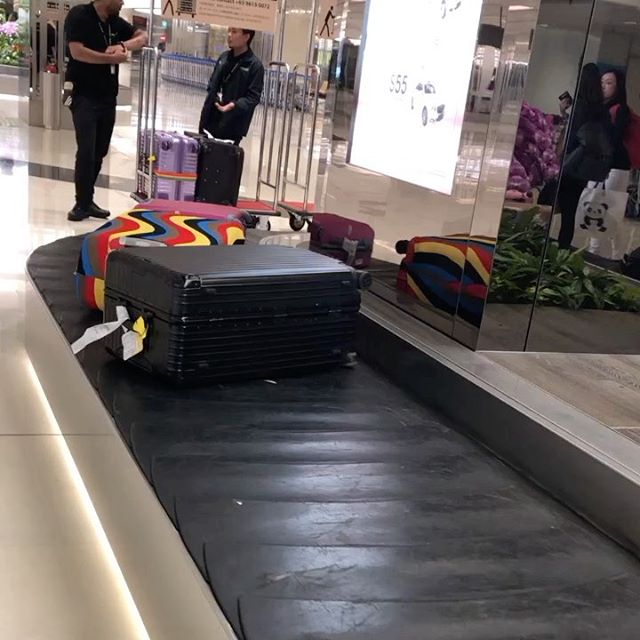 Here comes my obscenely pretty luggage